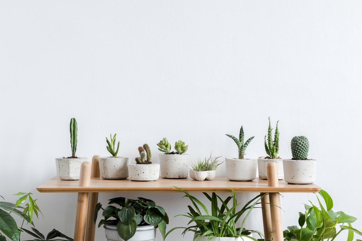 25+ Ways to Start Going Green at Home