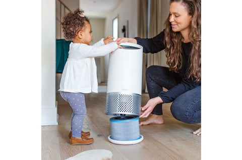 DuPont Allergy & Flu Anti-Viral HEPA Filter Set for Z-2000 Air Purifier