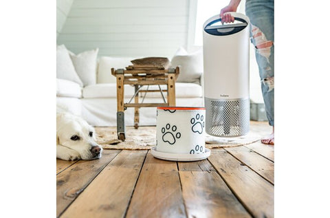 DuPont Pet Specialty HEPA Filter Set for Z-2000 Air Purifier