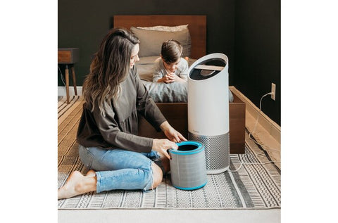DuPont Allergy & Flu Anti-Viral HEPA Filter Set for Z-3000 Air Purifier