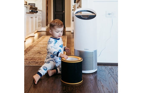DuPont Odor & VOC Specialty HEPA Filter Set for Z-3000 Air Purifier
