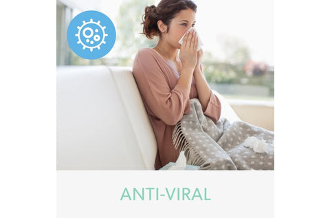 DuPont Allergy & Flu Anti-Viral HEPA Filter Set for Z-2000 Air Purifier